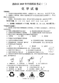 2025年河南省洛阳市中考二模化学试卷（中考模拟）
