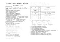 2025年山东省济宁市邹城市第十一中学中考二模化学试题（中考模拟）