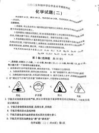 2025年山东省聊城市阳谷县中考二模化学试卷（中考模拟）