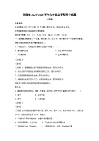 河南省2024-2025学年九年级上学期期中化学试卷（解析版）