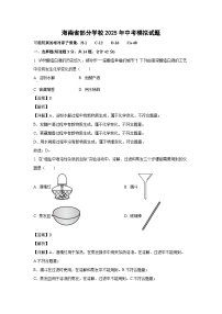 海南省部分学校2025年中考模拟化学试卷（解析版）