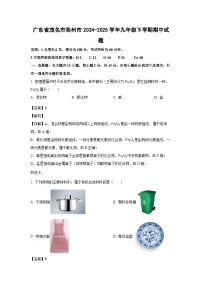 广东省茂名市高州市2024-2025学年九年级下学期期中化学试卷（解析版）