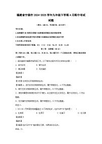 福建省宁德市2024-2025学年九年级下学期4月期中考试化学试卷（解析版）
