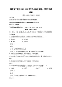 福建省宁德市2024-2025学年九年级下学期4月期中考试化学试卷（解析版）