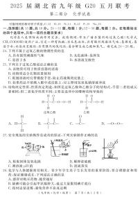 2025届湖北省九年级G20五月联考化学试卷（附参考答案）