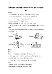 安徽省来安县部分学校九年级2024-2025学年4月期中化学试卷（解析版）