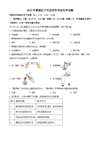 2025年湖北省襄阳市樊城区中考适应性考试化学试题（中考模拟）