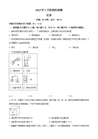 2025年湖南省长沙市开福区青竹湖湘一外国语学校一模化学试题（中考模拟）