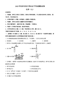 2025年湖南省长沙市教科院中考模拟考试化学试卷（中考模拟）