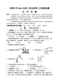 2025年四川省内江市威远县凤翔中学九年级下学期第二次模拟考试化学试题（中考模拟）