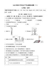 2025年陕西省西安市高新第一中学中考二模化学试题（中考模拟）