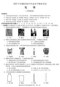 2025年安徽省蚌埠市市区重点学校联考中考二模化学试卷（中考模拟）