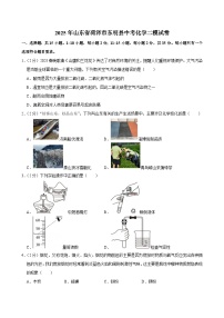 2025年山东省菏泽市东明县中考化学二模试卷