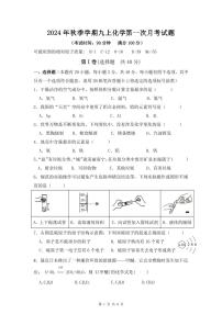 广西南宁市新民中学2024-2025学年九年级上学期9月月考化学试题
