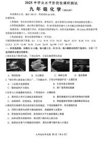 2025年山东省济南市槐荫区中考三模化学试题（中考模拟）