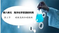 鲁教版（2024）九年级下册（2024）碳酸氢钠和碳酸钠图文ppt课件
