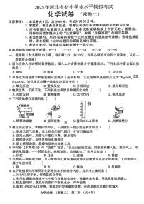 2025年河北省沧州市献县乐寿镇中学、万村中学、十五级初级中学中考模拟预测化学试题（中考模拟）