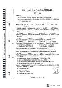 2025年河南省漯河市召陵区中考考前模拟化学试题（中考模拟）