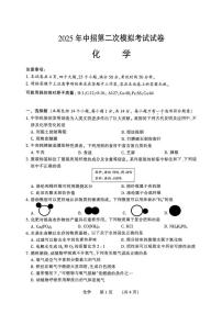 2025年河南省濮阳市中考二模化学试题（中考模拟）