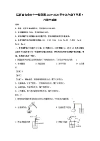 江西省吉安市十一校联盟2024-2025学年九年级下学期4月期中化学试卷（解析版）