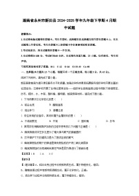 湖南省永州市新田县2024-2025学年九年级下学期4月期中化学试卷（解析版）