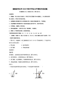 湖南省怀化市2025年初中学业水平模拟考试化学试卷（解析版）