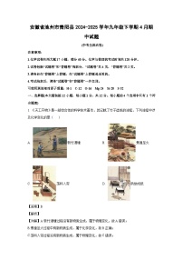 安徽省池州市青阳县2024-2025学年九年级下学期4月期中化学试卷（解析版）