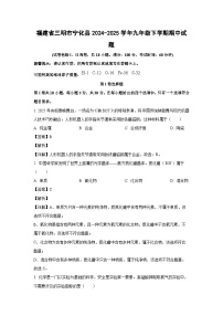 福建省三明市宁化县2024-2025学年九年级下学期期中化学试卷（解析版）