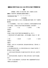 福建省三明市宁化县2024-2025学年九年级下学期期中化学试卷（解析版）