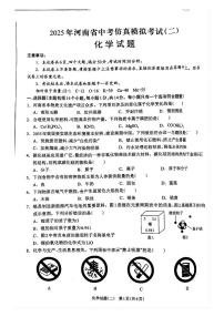 2025年河南省周口市郸城县中考二模化学试题（中考模拟）