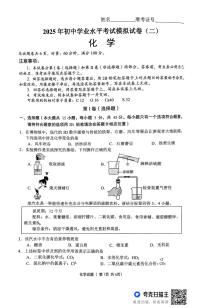 2025年湖南省永州市中考二模化学试题（中考模拟）