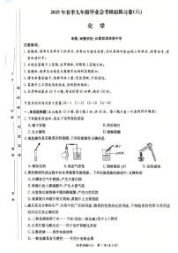 2025年湖南省长沙市长郡教育集团中考模拟化学试卷六（中考模拟）