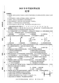 2025年湖南省长沙市中考三模化学试卷（中考模拟）