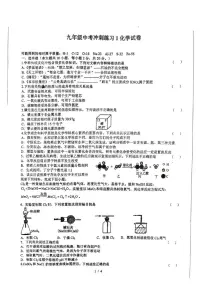 2025年江苏省徐州市沛县五中联盟学区中考模拟预测化学试题（中考模拟）