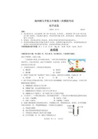 2025年江苏省扬州市树人学校中考三模化学试题（中考模拟）