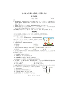 2025年江苏省扬州市树人学校中考三模化学试题（中考模拟）