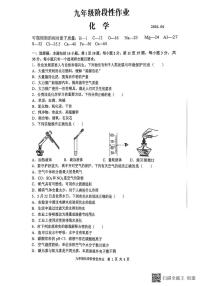 2025年山东省临沂市沂水县中考二模考试化学试题（中考模拟）