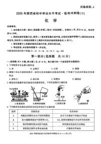 2025年陕西省咸阳市秦都区金山学校中考模拟预测化学试题（中考模拟）