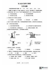 2025年重庆市巴蜀中学中考三模考试化学试题（中考模拟）