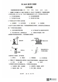 2025年重庆市巴蜀中学中考三模考试化学试题（中考模拟）