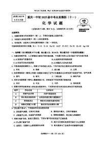 2025年重庆市第一中学中考全真模拟（十一)化学试题（中考模拟）