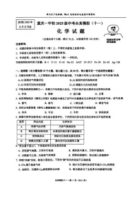 2025年重庆市第一中学中考全真模拟（十一)化学试题（中考模拟）
