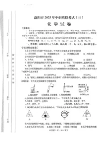 2025年洛阳市中考三模化学试卷及答案