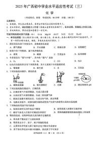 2025年广西柳州市初中学业水平适应性考试化学卷（中考模拟 ）