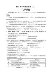 2025年山东省聊城临清市中考三模化学试题（中考模拟 ）