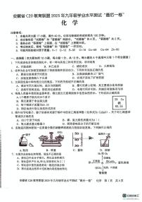 2025年安徽省C20教育联盟九年级学业水平测试最后一卷化学试题（中考模拟 ）