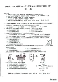 2025年安徽省C20教育联盟九年级学业水平测试最后一卷化学试题（中考模拟 ）