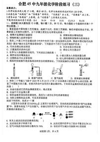 2025年安徽省合肥市第四十五中学本部中考三模化学试题（中考模拟 ）