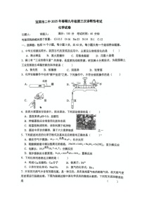 2025年四川省宜宾市第二中学校中考三模化学试题（中考模拟 ）