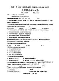 2025年广东省湛江市第一中学中考三模化学试题（中考模拟 ）